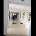 عون أمن… يجر… طالبا…!!
