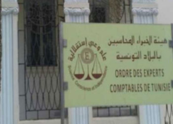 هيئة الخبراء المحاسبين تدعو إلى تأجيل التصريح بالأداءات و الضرائب