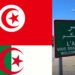 فتح الحدود الجزائرية جزئيا