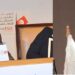 التركيبة الجديدة للهيئة العليا للانتخابات …