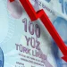 الليرة التركية تهوي لمستوى تاريخي أمام الدولار…