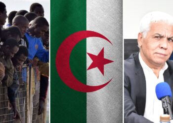 القاء القبض على الصافي سعيد : هكذا تتغافل الجزائر على ٱلاف الأفارقة الذين تسللوا عبر حدودها…؟!